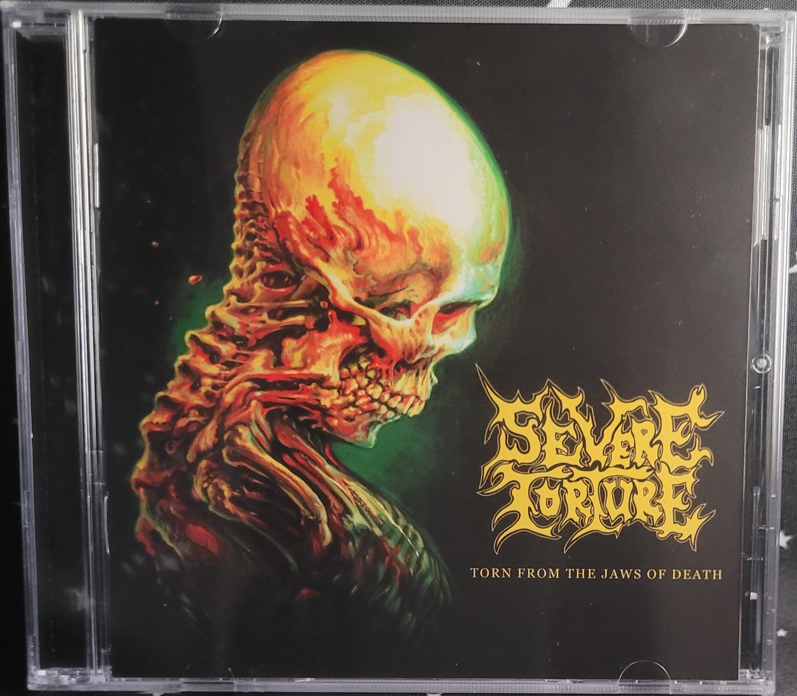 Severe torture/“Baptized…”Promo-CD Amazon.com: TORTURE - CANNIBAL CORPSE: 0039841508208: Cannibal